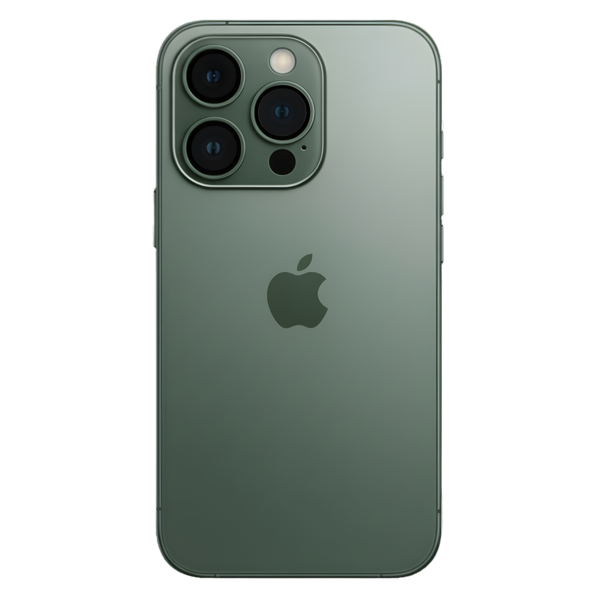 X-Diamond Sahara Gold - Winner Edition